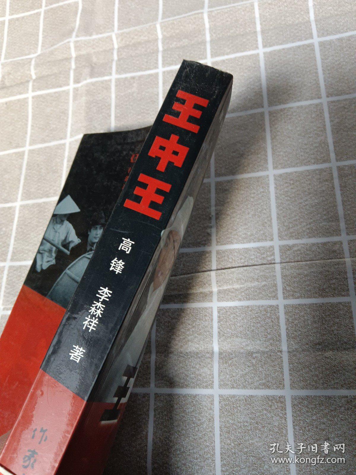 王中王資料一肖中官家，深度解析與探索，王中王資料揭秘，一肖中官家的深度解析與探索