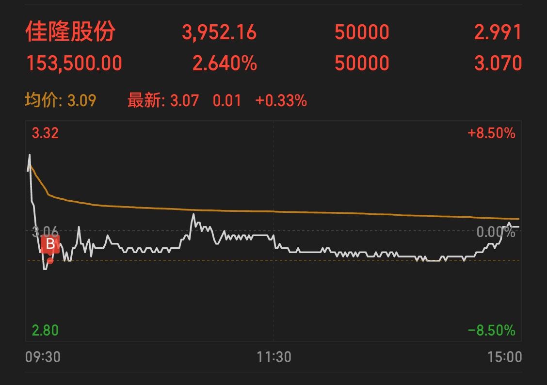 佳隆股份，引領(lǐng)行業(yè)前沿，展現(xiàn)企業(yè)卓越實力，佳隆股份，行業(yè)先鋒，卓越實力展現(xiàn)