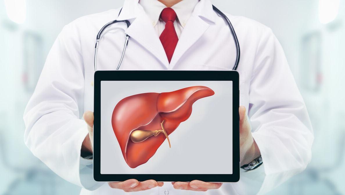 三七粉對(duì)肝臟的影響，護(hù)肝還是傷肝？，三七粉對(duì)肝臟作用解析，護(hù)肝還是傷肝？